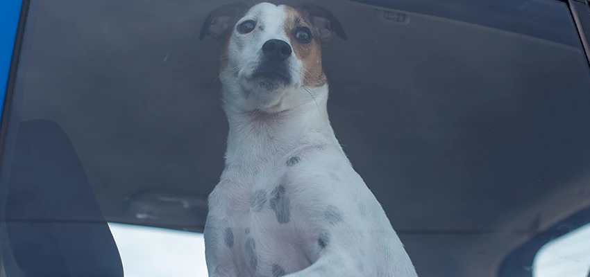 Car Lockout Solutions in Mead Valley, California